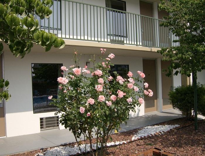 Shelbyville Inn - Shelbyville, Tn 37160 ภายนอก รูปภาพ